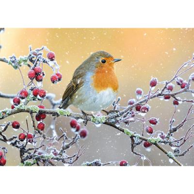 Little Robin Redbreast - Personalised Christmas Cards